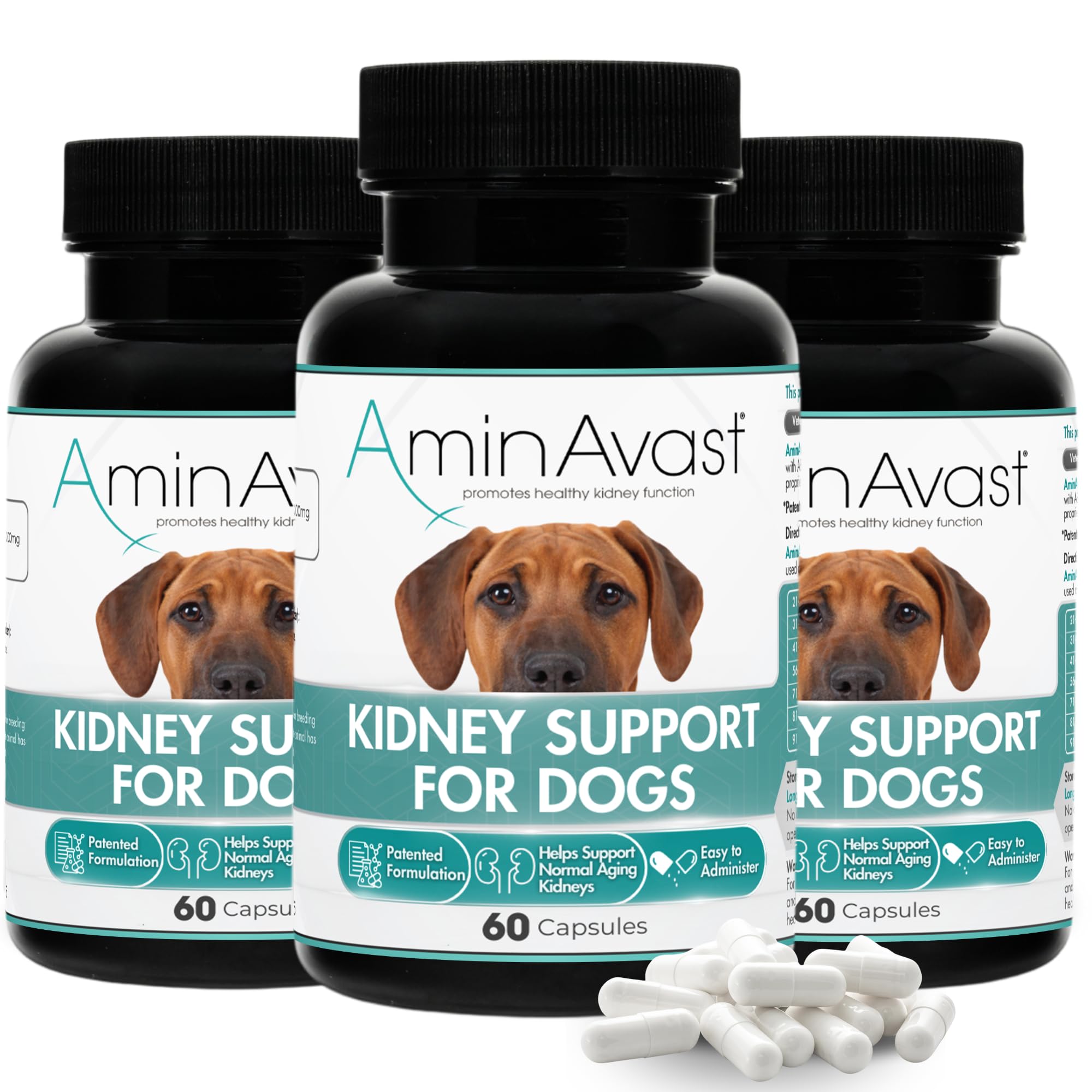 AminAvast – bouteille de soutien rénal pour chien, pratique au quotidien.