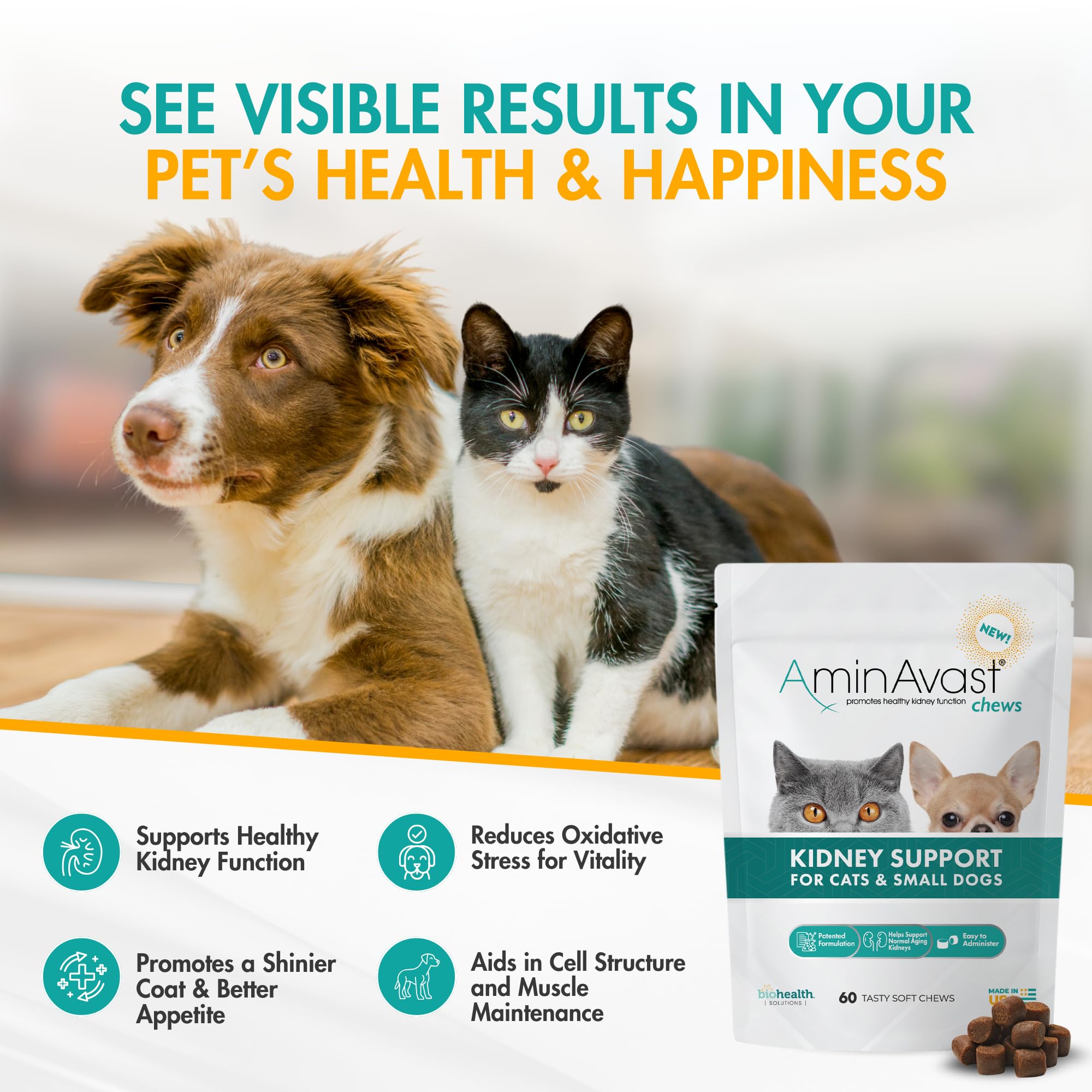 AminAvast : utilisation quotidienne chat et chien, pratique à intégrer dans l’alimentation.