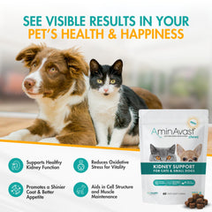 AminAvast : utilisation quotidienne chat et chien, pratique à intégrer dans l’alimentation.