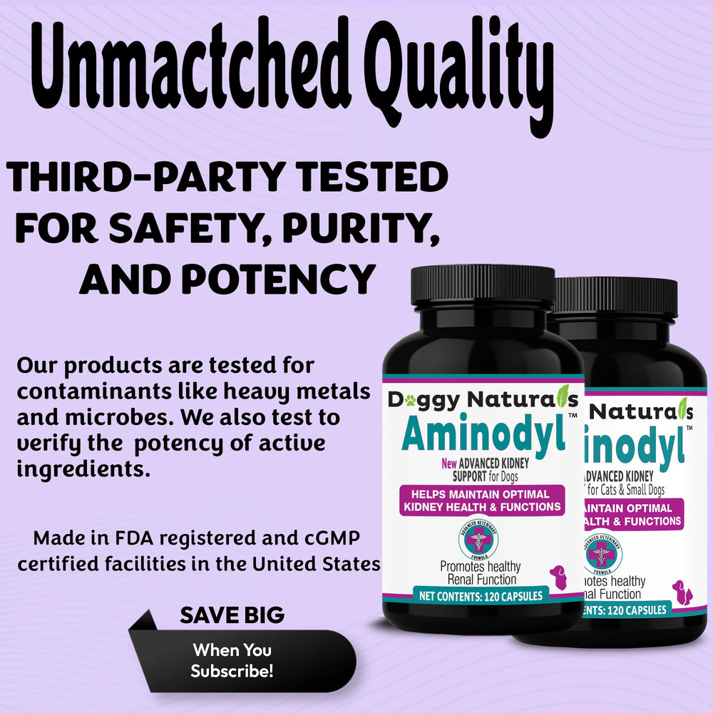 AMINODYL – recommandation pharmacien pour l’intégration avec d'autres traitements.