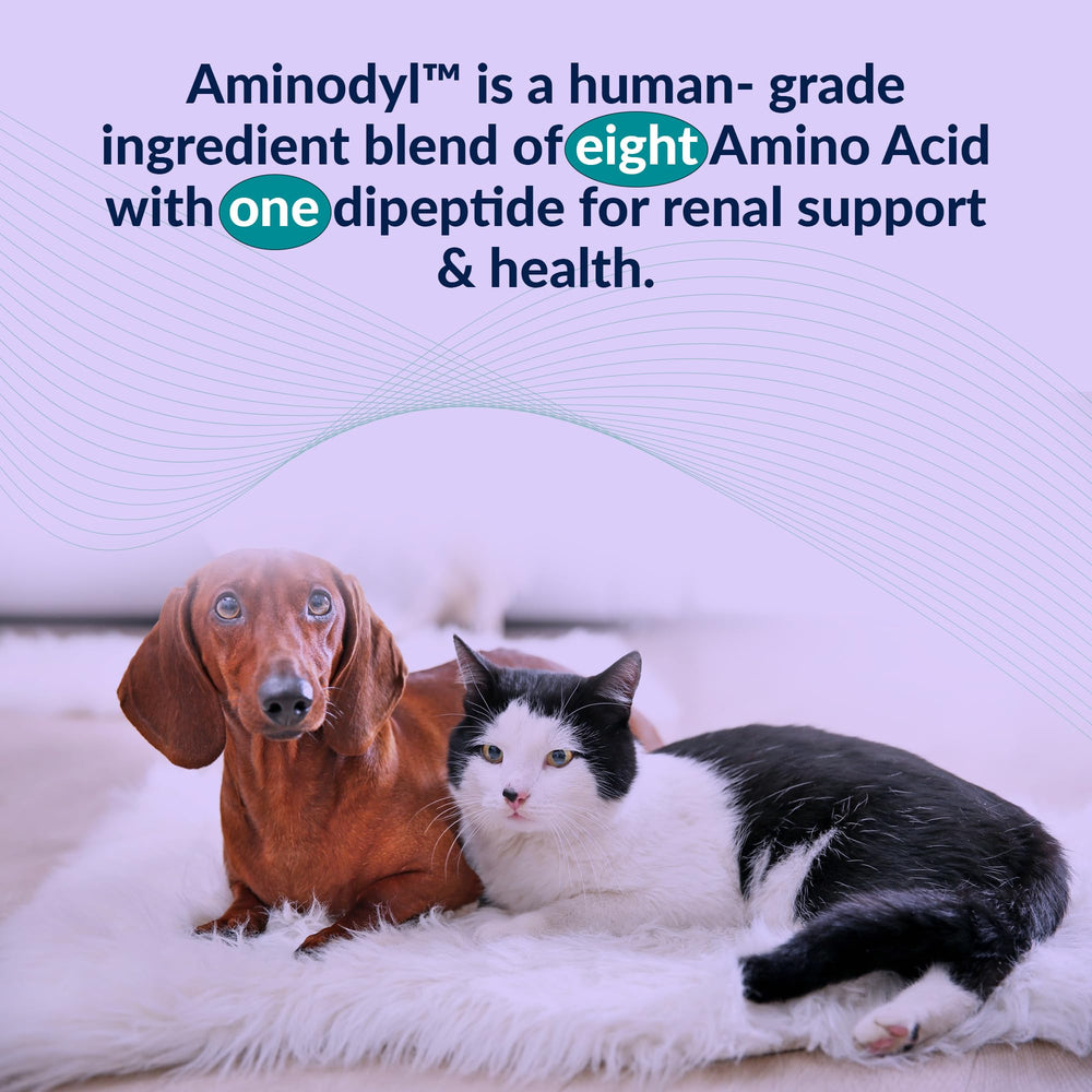 AMINODYL – fabriqué aux États‑Unis dans un établissement cGMP.