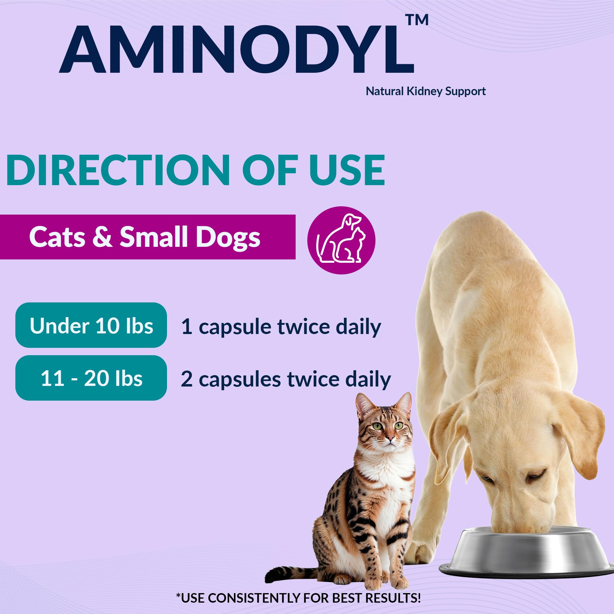 AMINODYL – utilisation quotidienne facile pour chats et chiens.