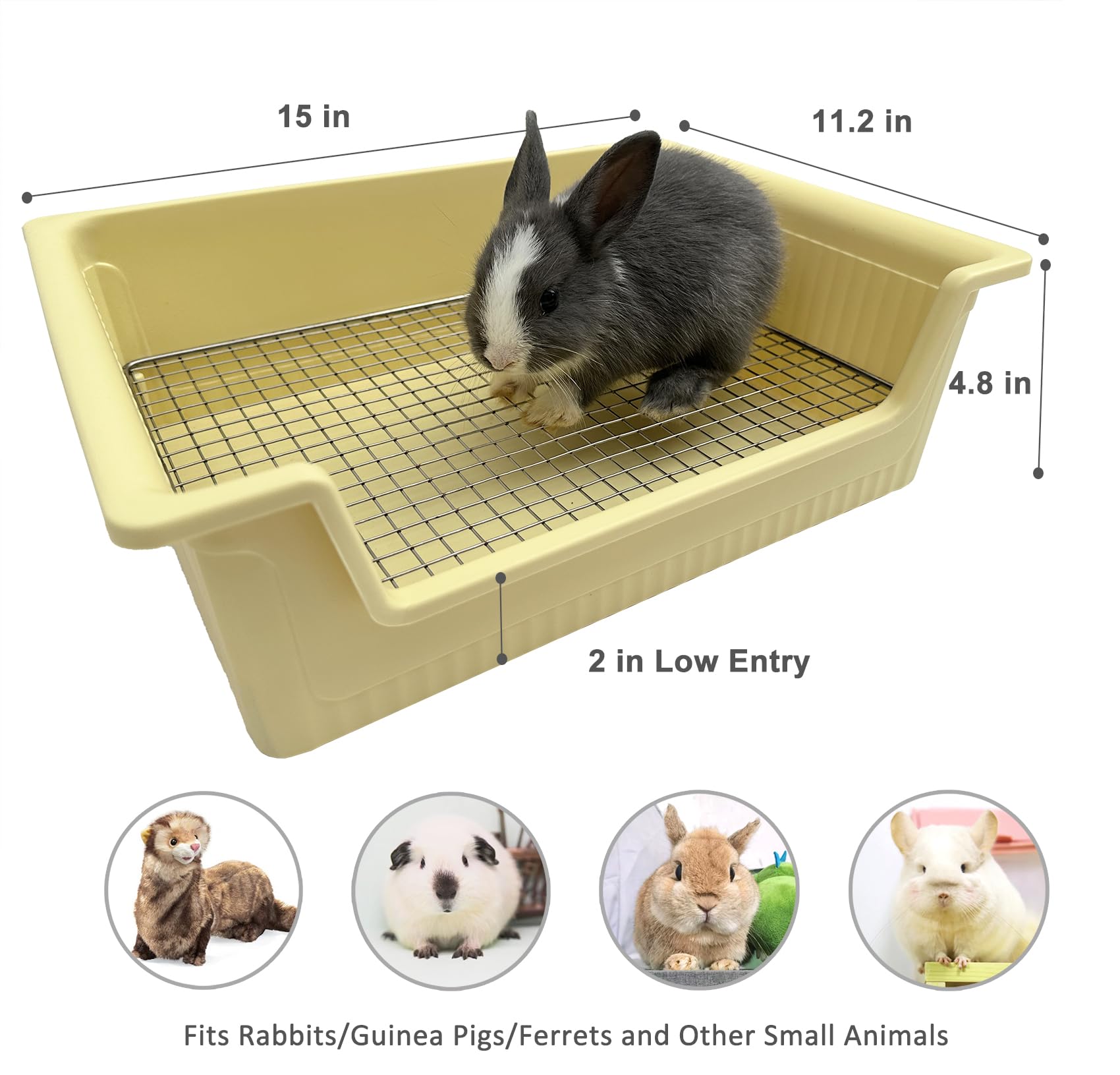 Kit nettoyage inclus: balayette et pelle pour entretien rapide.