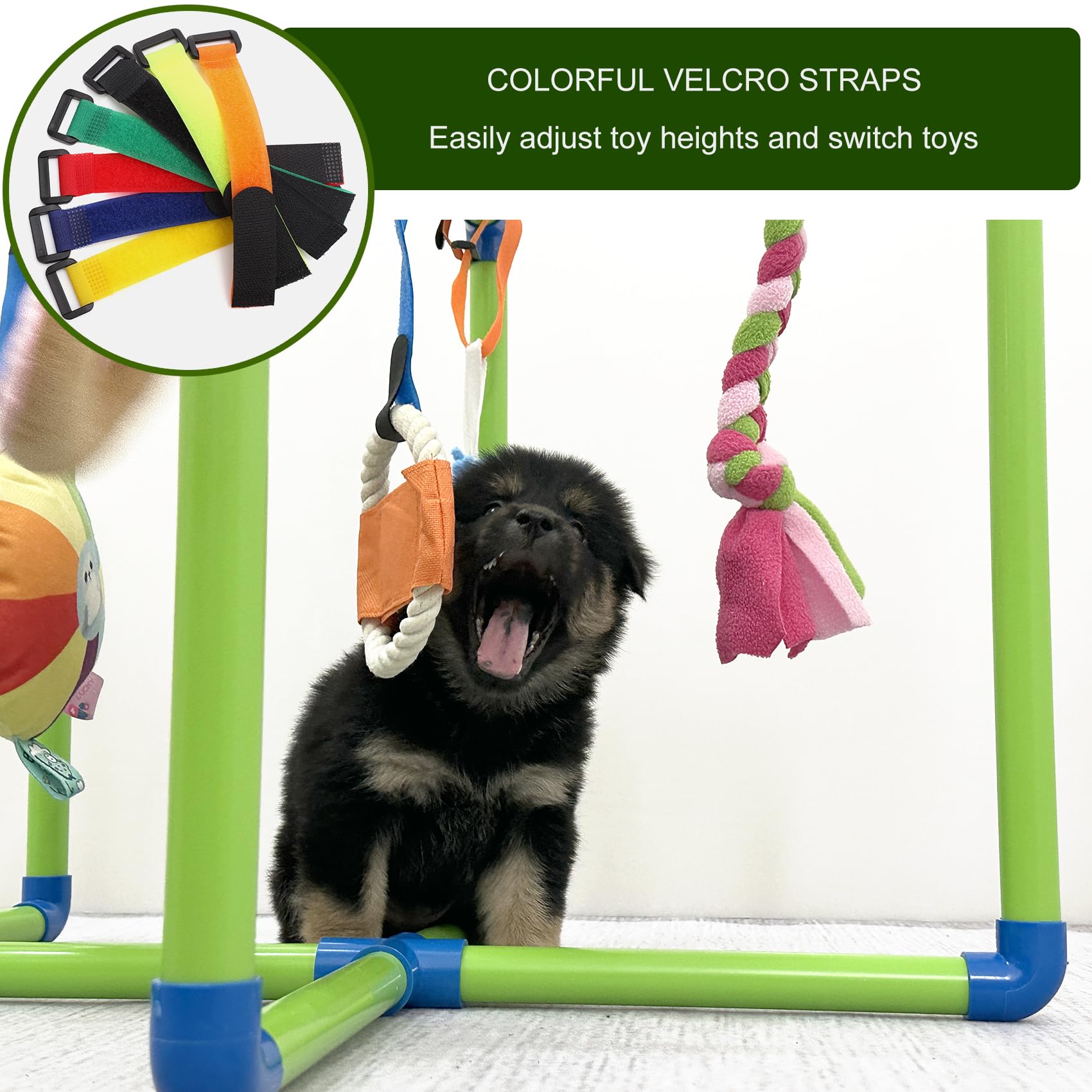 Puppy Play Gym Amlmpet, design sûr en PVC avec coins arrondis.