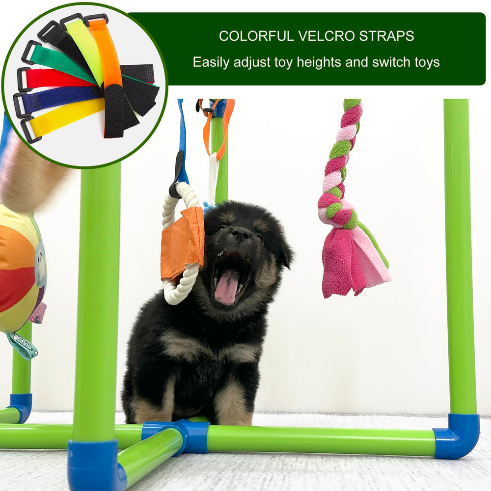 Puppy Play Gym Amlmpet, design sûr en PVC avec coins arrondis.