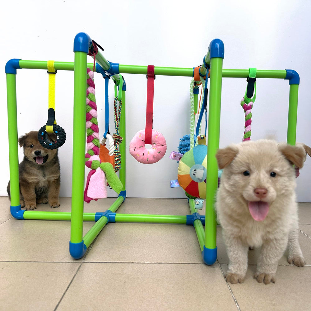 Amlmpet Puppy Play Gym avec neuf jouets pendus pour stimulation mentale.