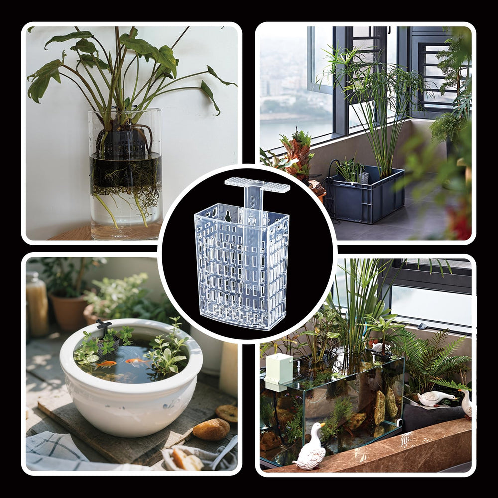 Amminle support-plante-aquarium-ajustable-base-submergee – utilisation sous l’eau pour plantes.
