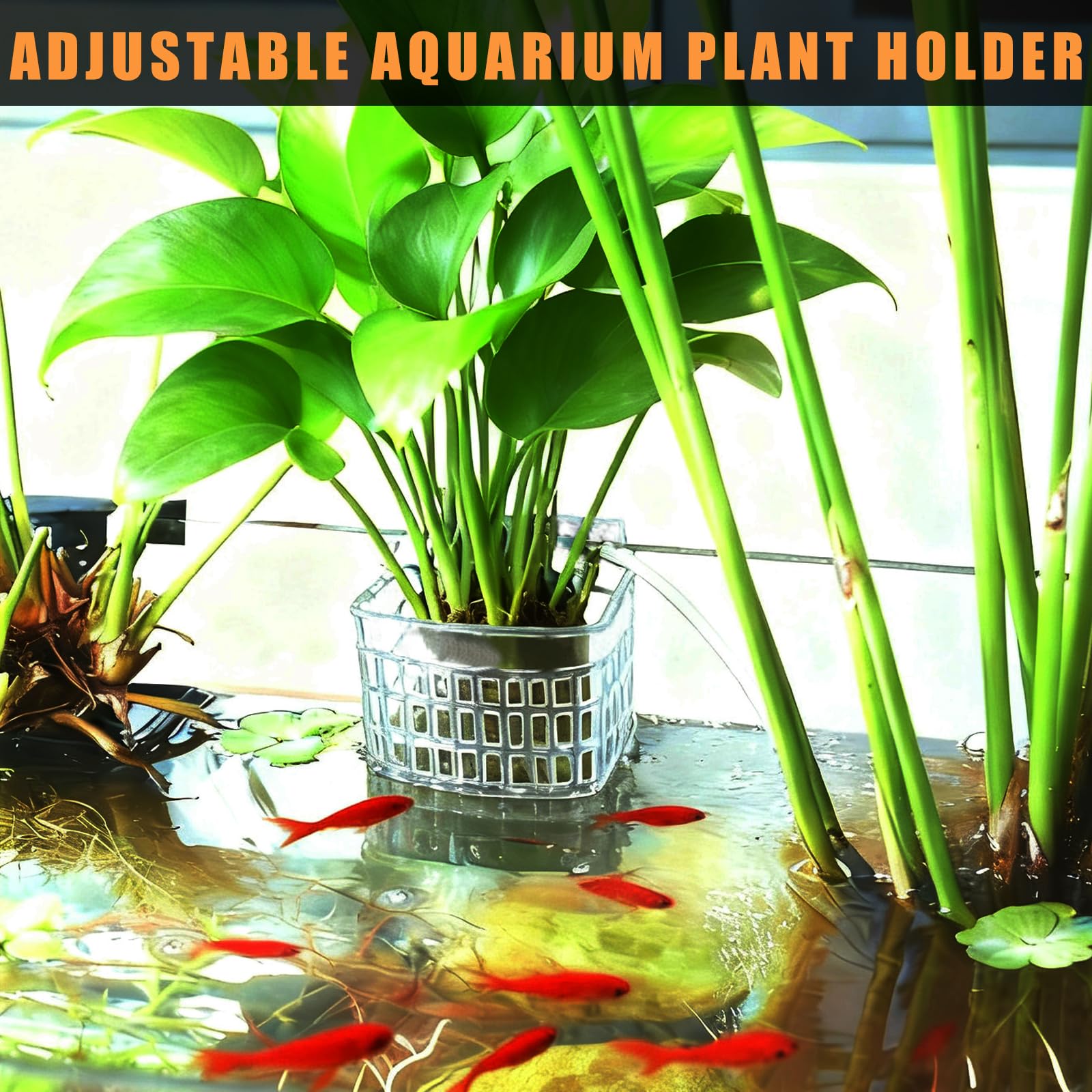 Amminle support-plante-aquarium-ajustable-ecosysteme – intégration discrète à l’écosystème.