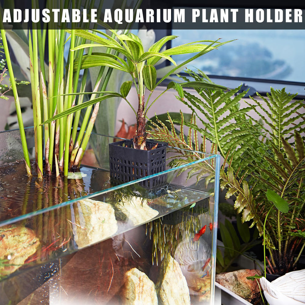 Amminle support plante aquarium décoration sous-marine, facile à installer.