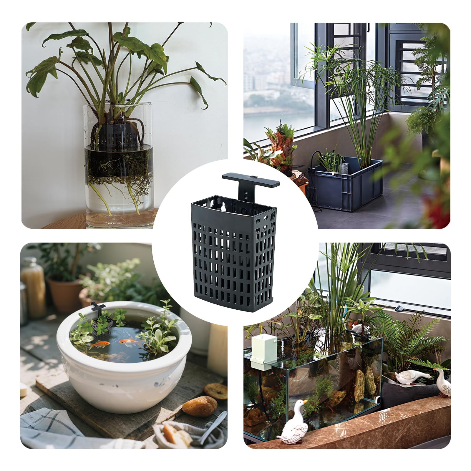 Amminle support plante aquarium mousse, usage polyvalent et polyvalent.