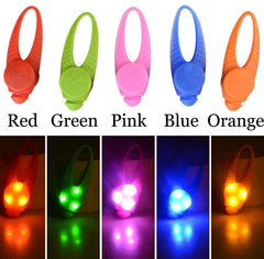 Collier AMNQUERXUS chien visible durant l'activité nocturne