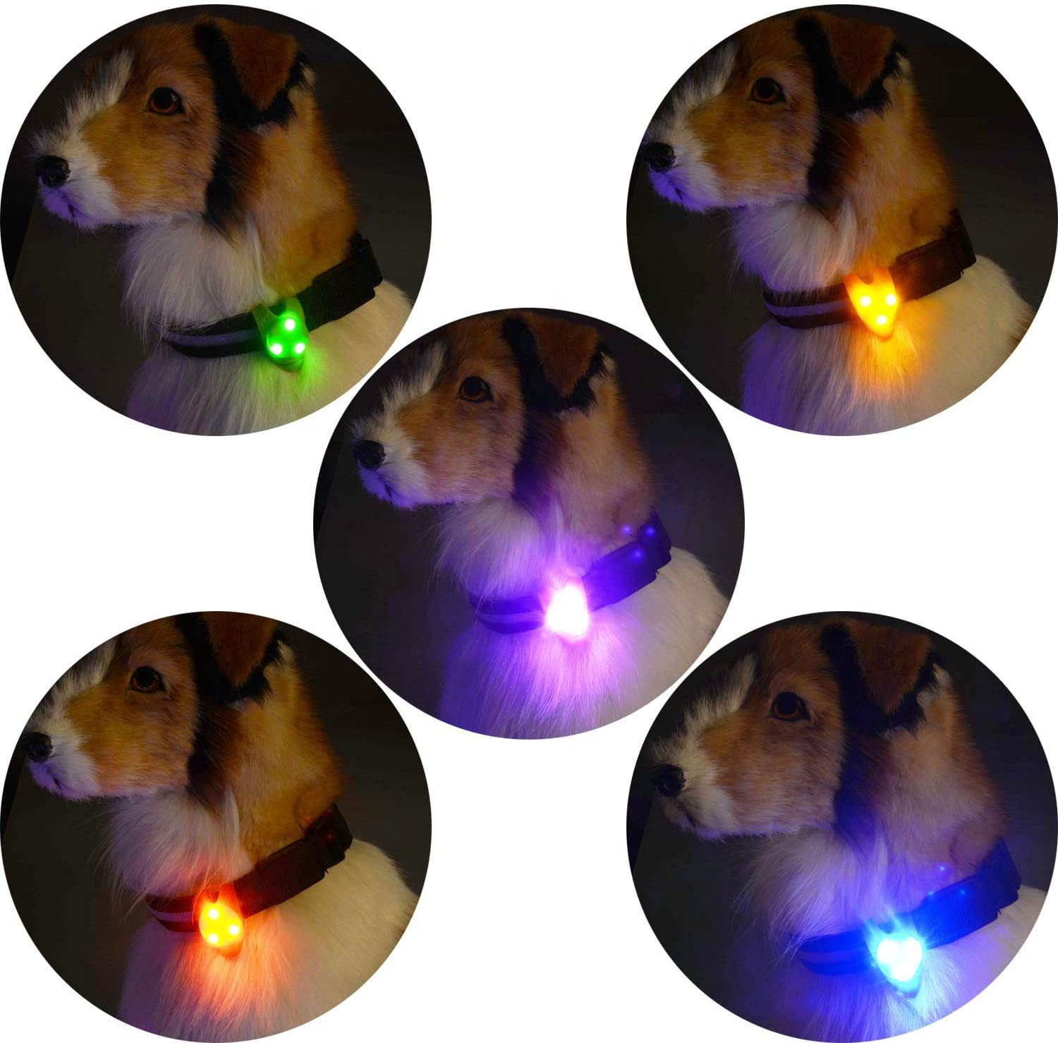 AMNQUERXUS, piles remplaçables prolongeant l'usage nocturne du collier lumineux