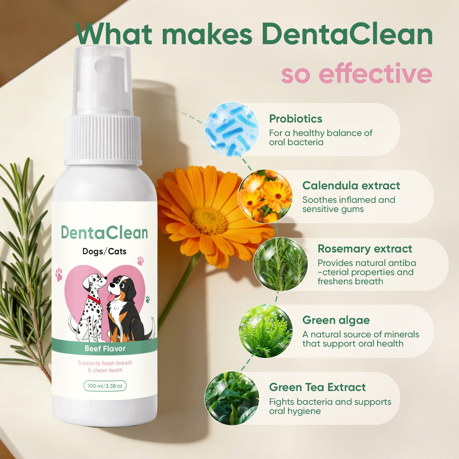 AMOQUCT Dentaclean emballage 100 ml, solution naturelle sans brossage