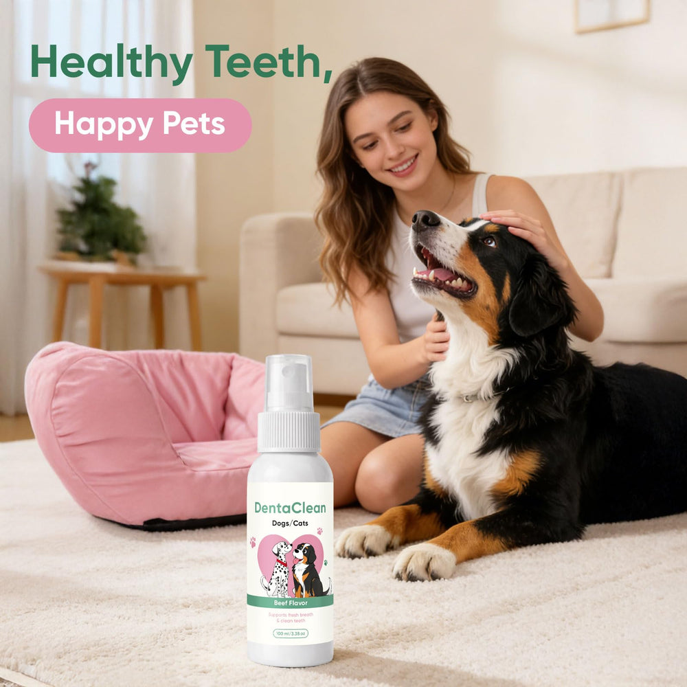 AMOQUCT Dentaclean formule naturelle pour routine quotidienne