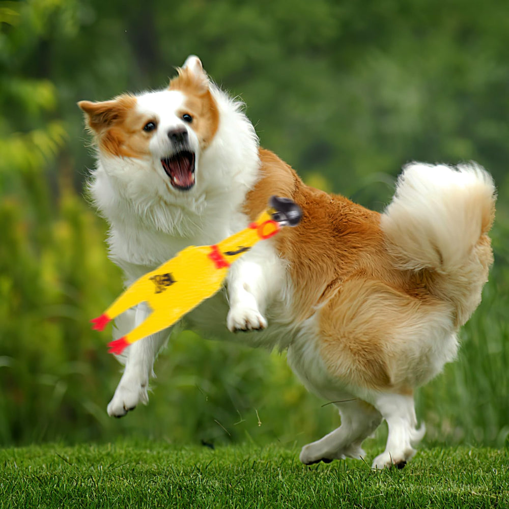 AMOR PRESENT jouet canin poulet interactif, divertissement pour chiens