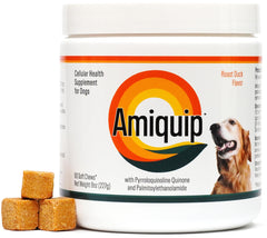 Amiquip Bouteille Senior Chien: soutien quotidien et mobilité lors des promenades.