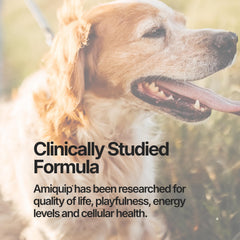 Amiquip Étiquette Nutrition Senior Chien: informations claires sur les ingrédients.