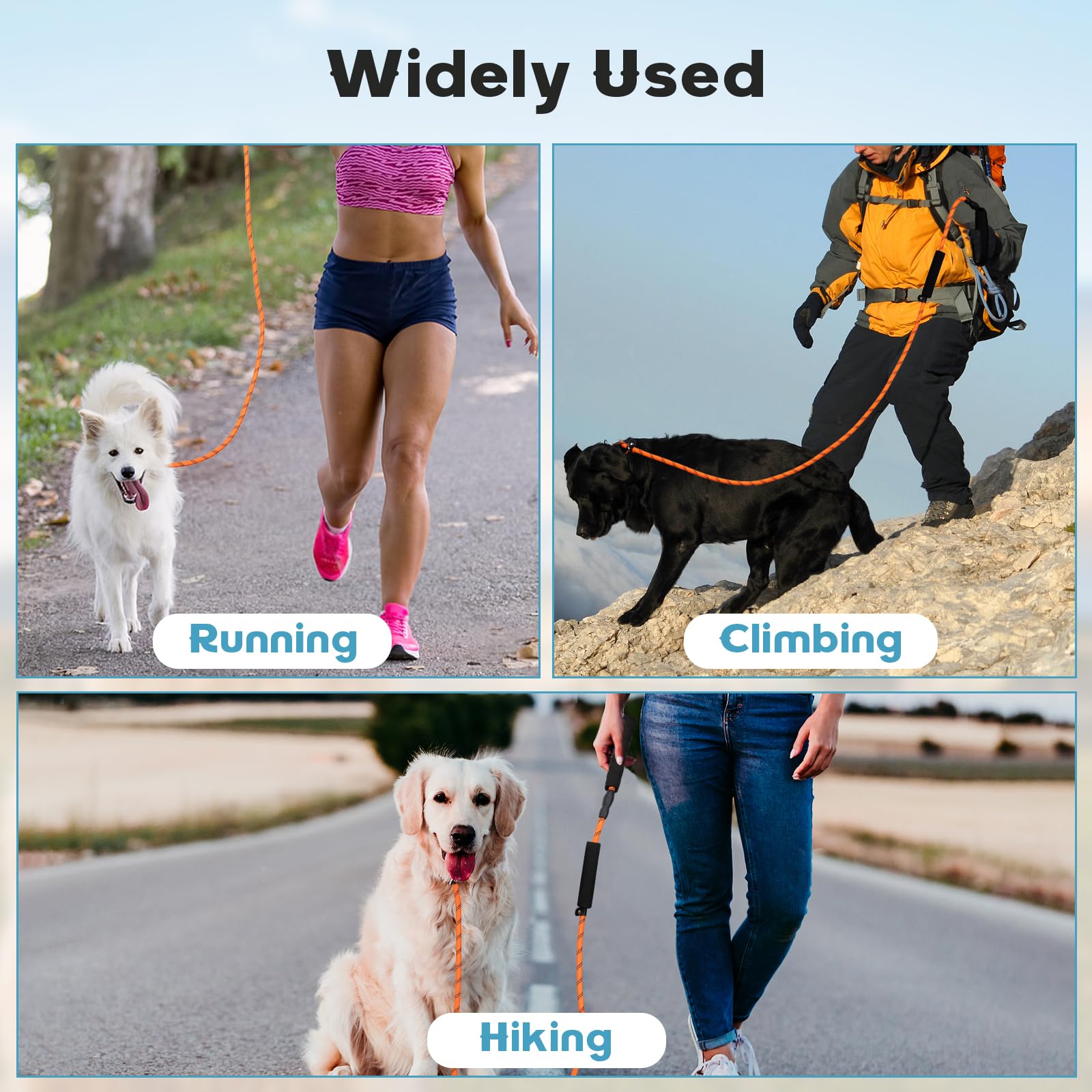Laisse Amrules adaptée aux activités extérieures: randonnées, promenades et entraînements.