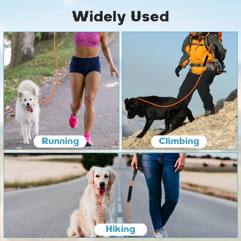 Laisse Amrules adaptée aux activités extérieures: randonnées, promenades et entraînements.