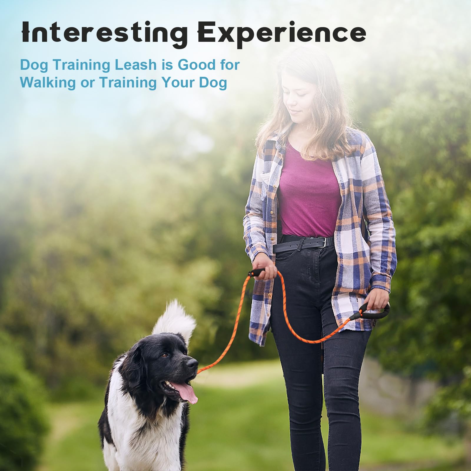 Laisse Amrules idéale pour l'entraînement et les sorties quotidiennes du chien moyen.