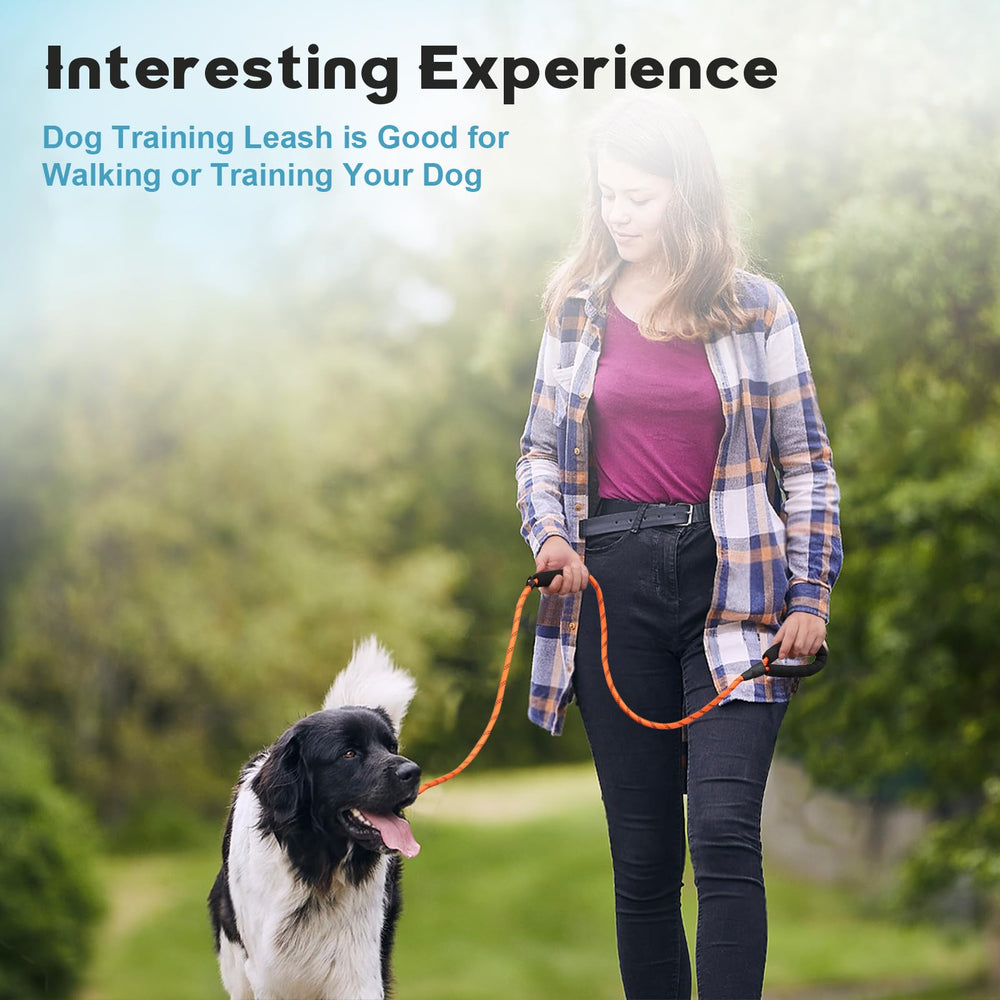 Laisse Amrules idéale pour l'entraînement et les sorties quotidiennes du chien moyen.