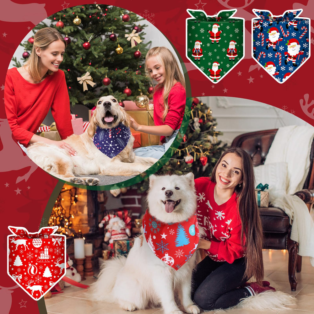Bandana Amylove pour chiens fetes et photos, pratique et polyvalent.