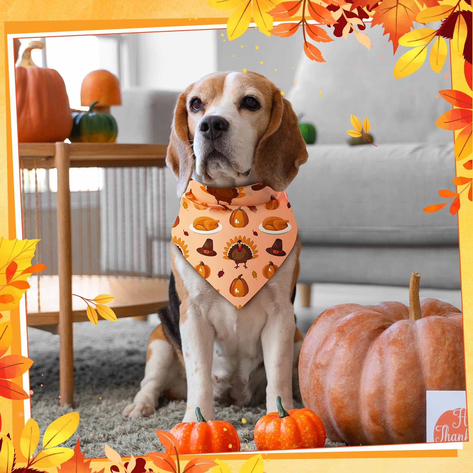 Bandanas Amylove pour occasions variées, photoshoots et fêtes.