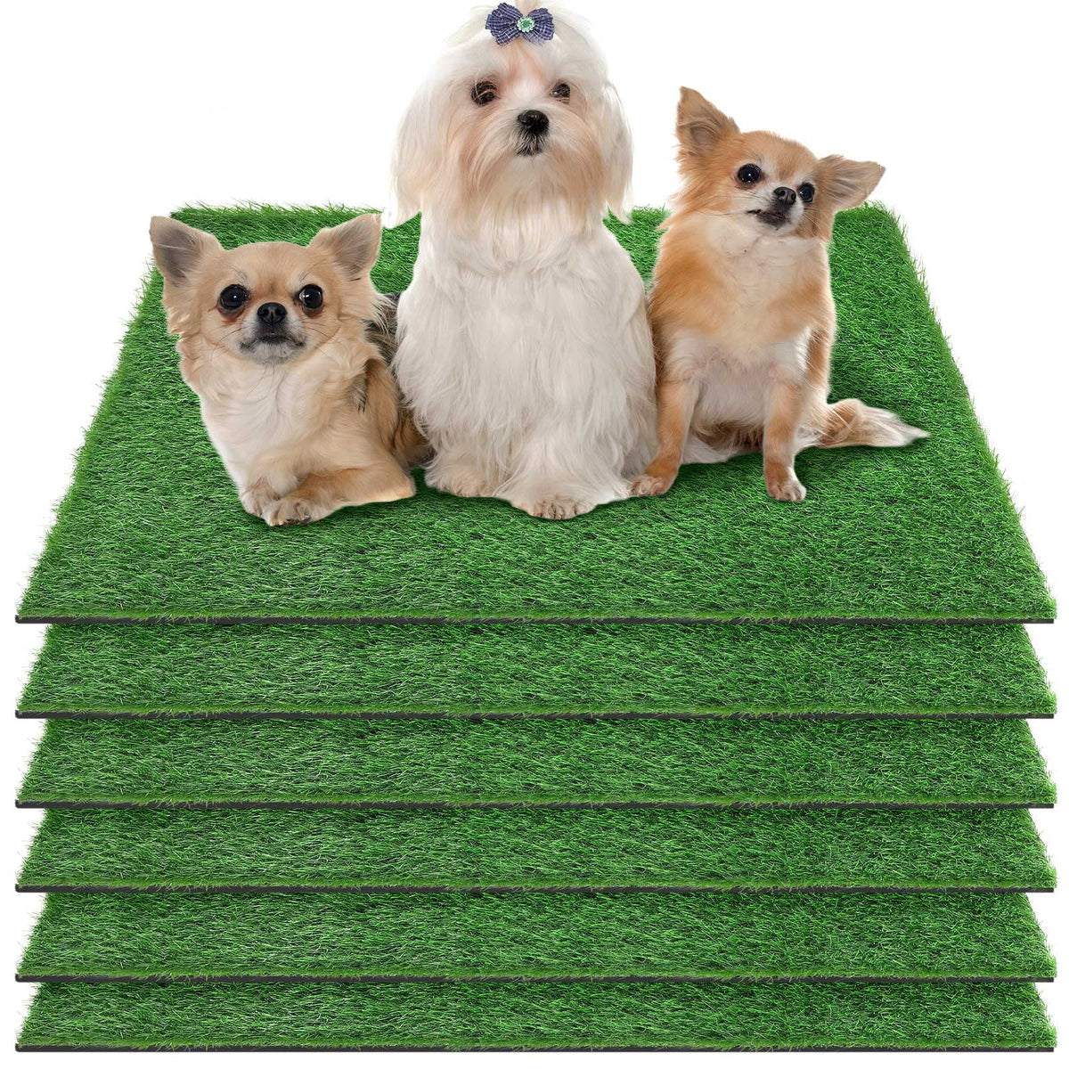 Amylove tapis dherbe artificielle pour chiots, pratique et réaliste pour l'apprentissage.