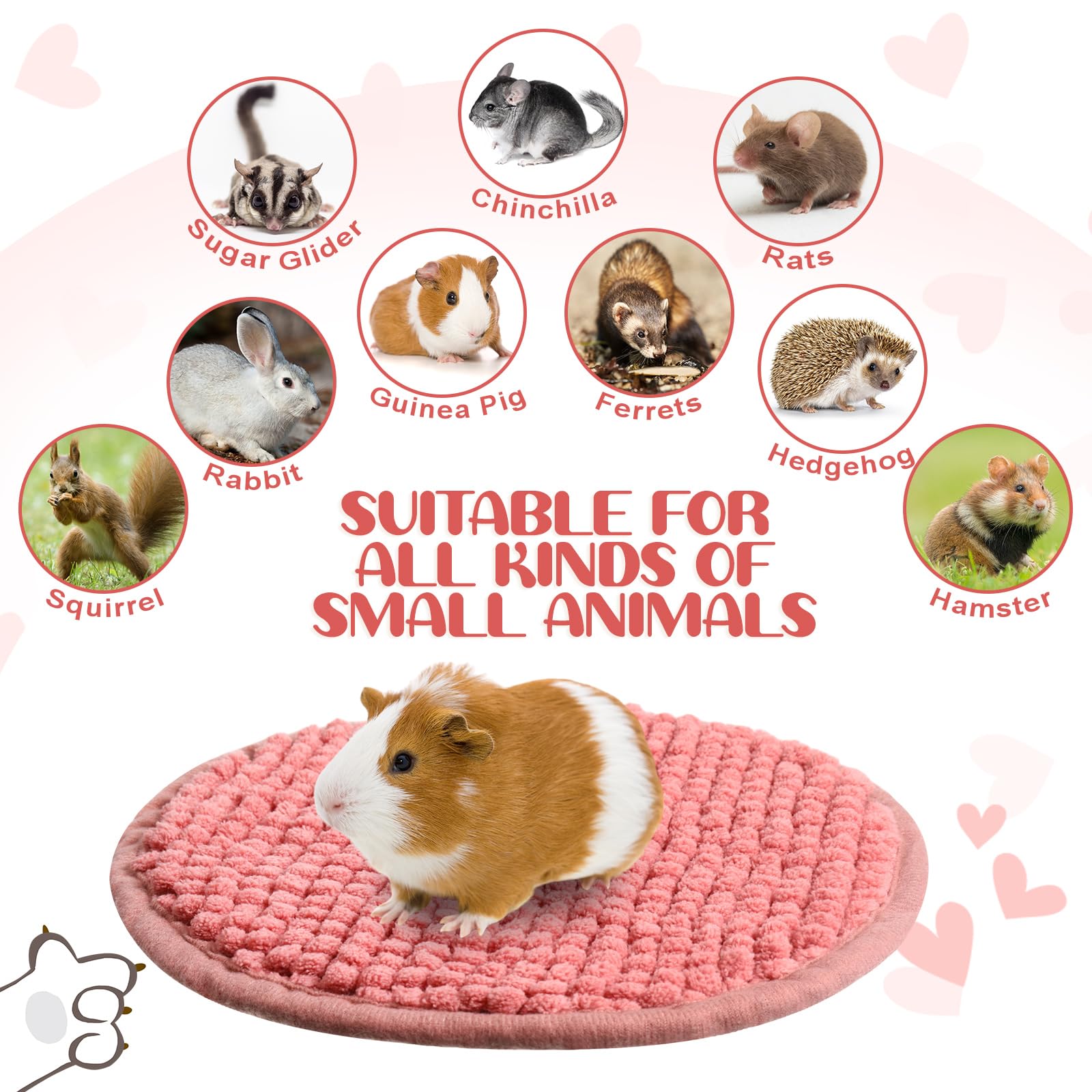Utilisation polyvalente Amylove: nid ou tapis dans cage, véhicule ou meuble.
