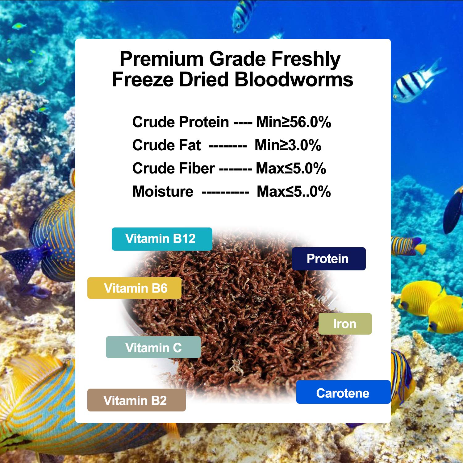 Amzey alimentation poissons — vers de sang séché stimulant croissance et couleurs.