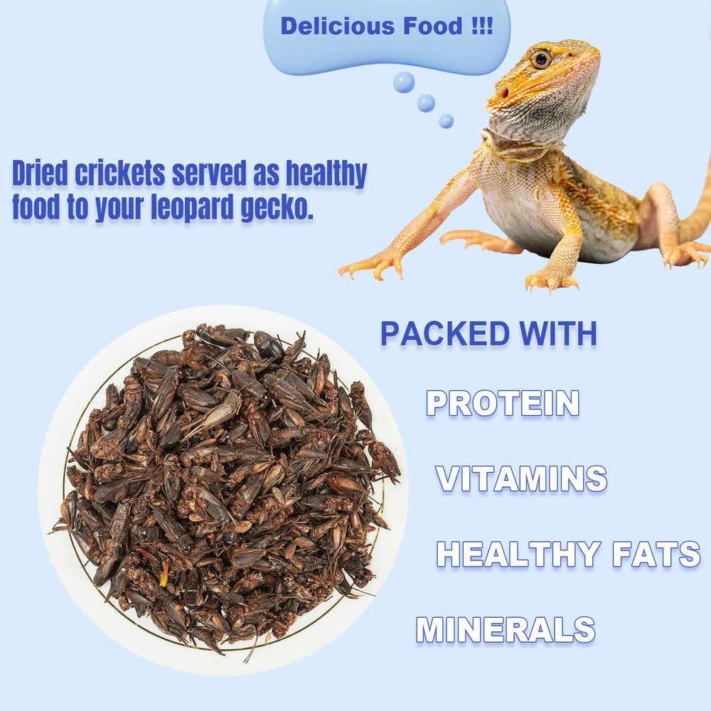 Amzey grillons secs alimentation oiseaux sauvages, favorise la satiété des oiseaux.