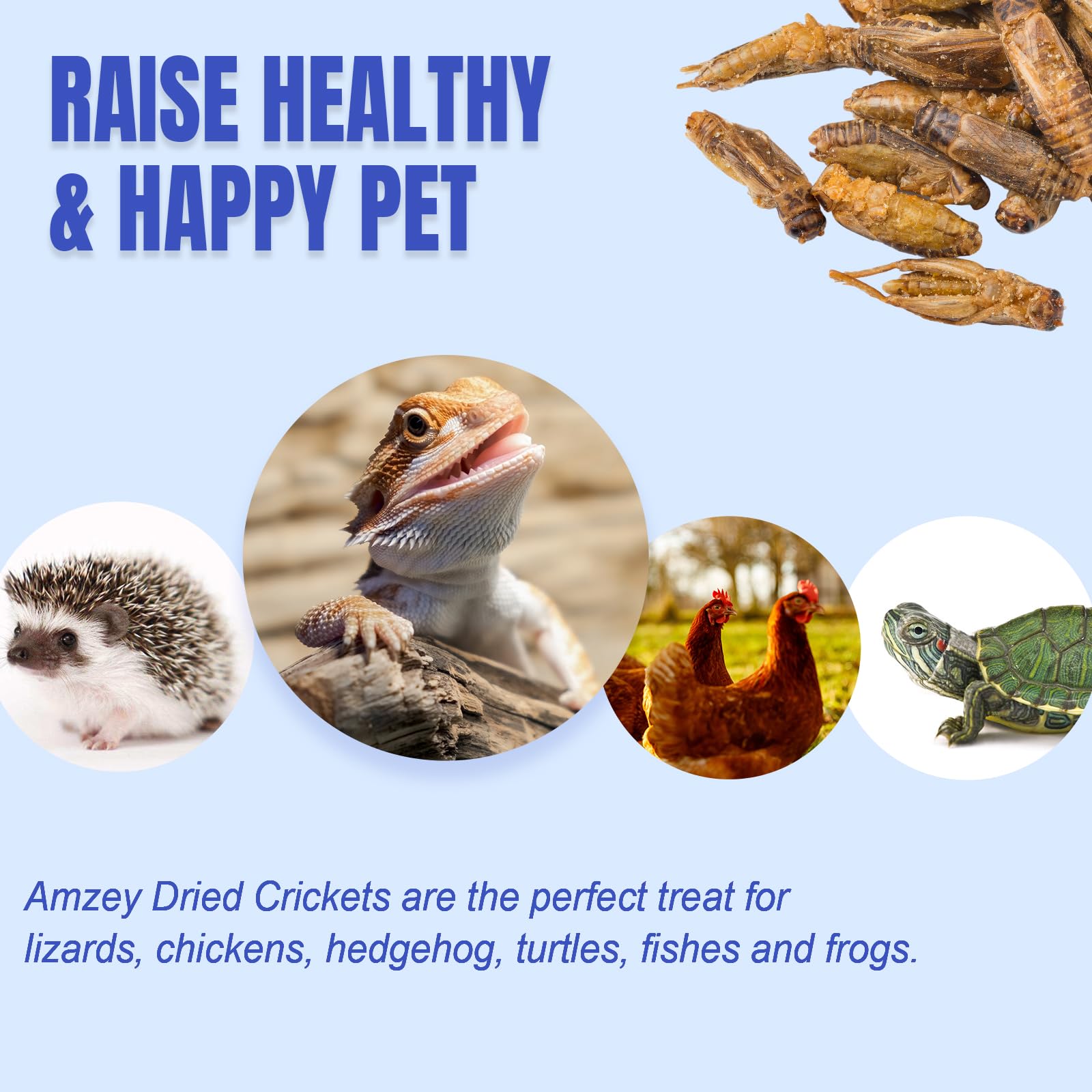 Amzey grillons secs certifie veterinaire, garantie de qualité et traçabilité.