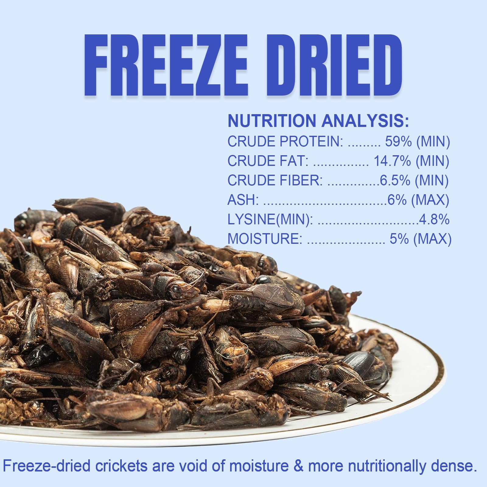 Amzey grillons secs détail nutritionnel, image nette des nutriments préservés.