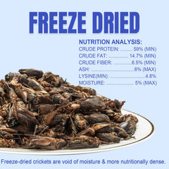 Amzey grillons secs détail nutritionnel, image nette des nutriments préservés.