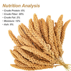 Amzey millet en spray pour pinsons, soutien fibreux et grignotage sain.