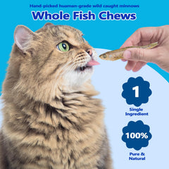 Zoom sur les poissons lyophilisés Amzey croquants, bouchée parfaite pour grignoter sainement.