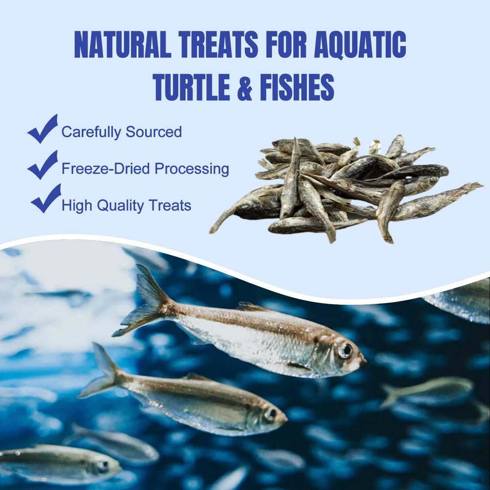 Poissons de rivière séchés Amzey, nourriture pratique pour aquarium.