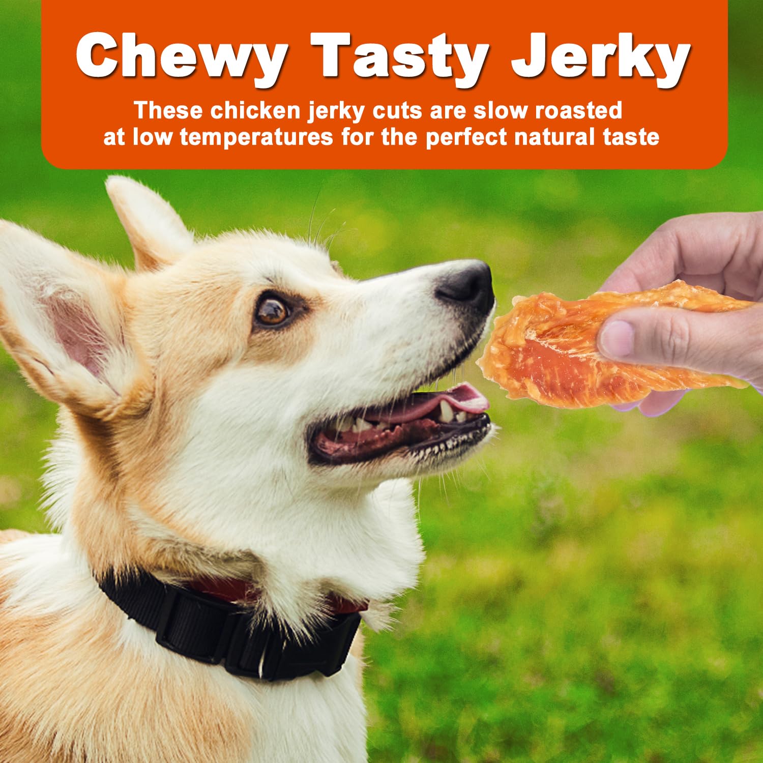 Texture jerky poulet Amzey, détail appétissant pour une dégustation contrôlée.