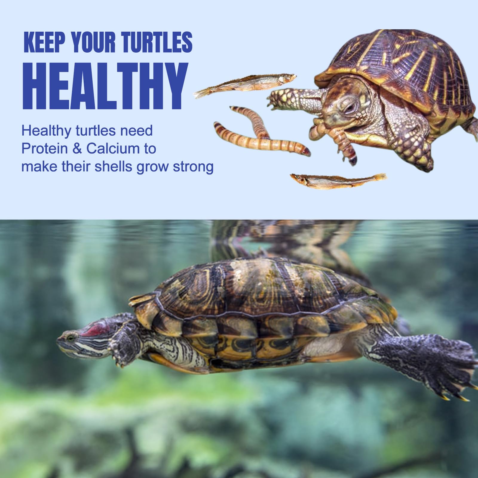 Amzey Medley Tortue, crevettes des rivières séchées, protéines et goût.