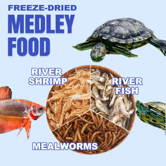 Mélange Amzey Tortue avec ingrédients séchés pour nutrition équilibrée.