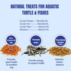 Amzey Medley Tortue, larves sèches riches en protéines et croquant.