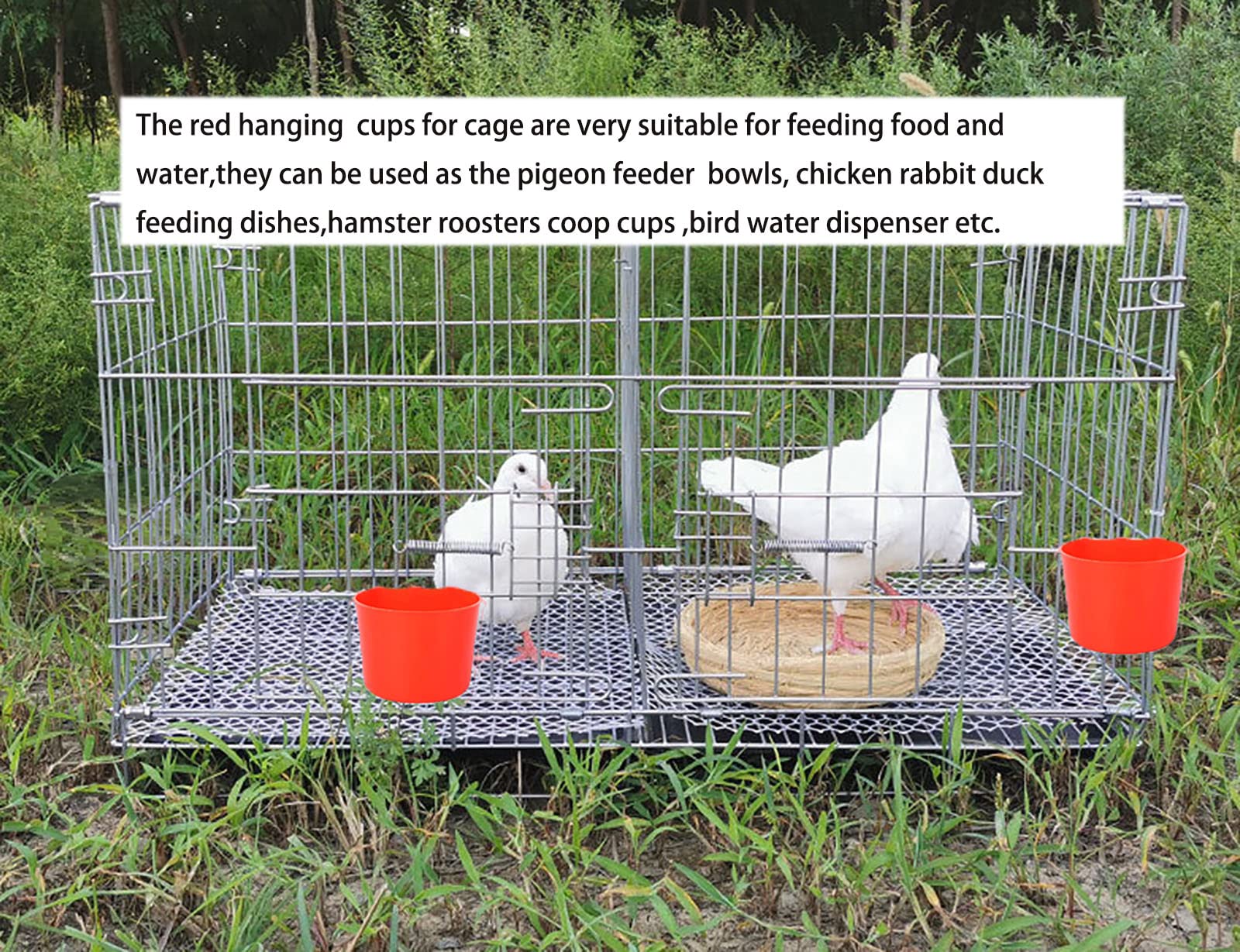 AMZSYLV solution polyvalente pour alimentation et hydratation des petits animaux