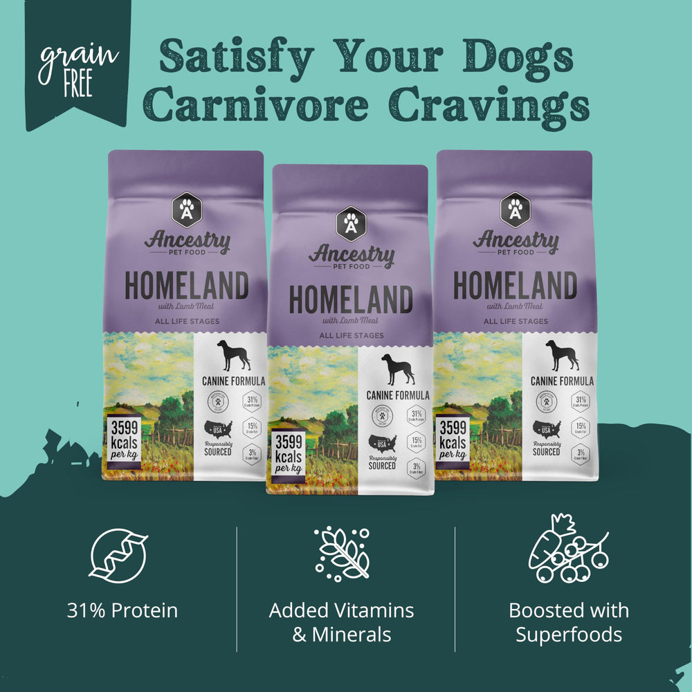 Assiette de chien avec Ancestry Homeland pour repas quotidiens.