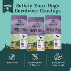 Assiette de chien avec Ancestry Homeland pour repas quotidiens.