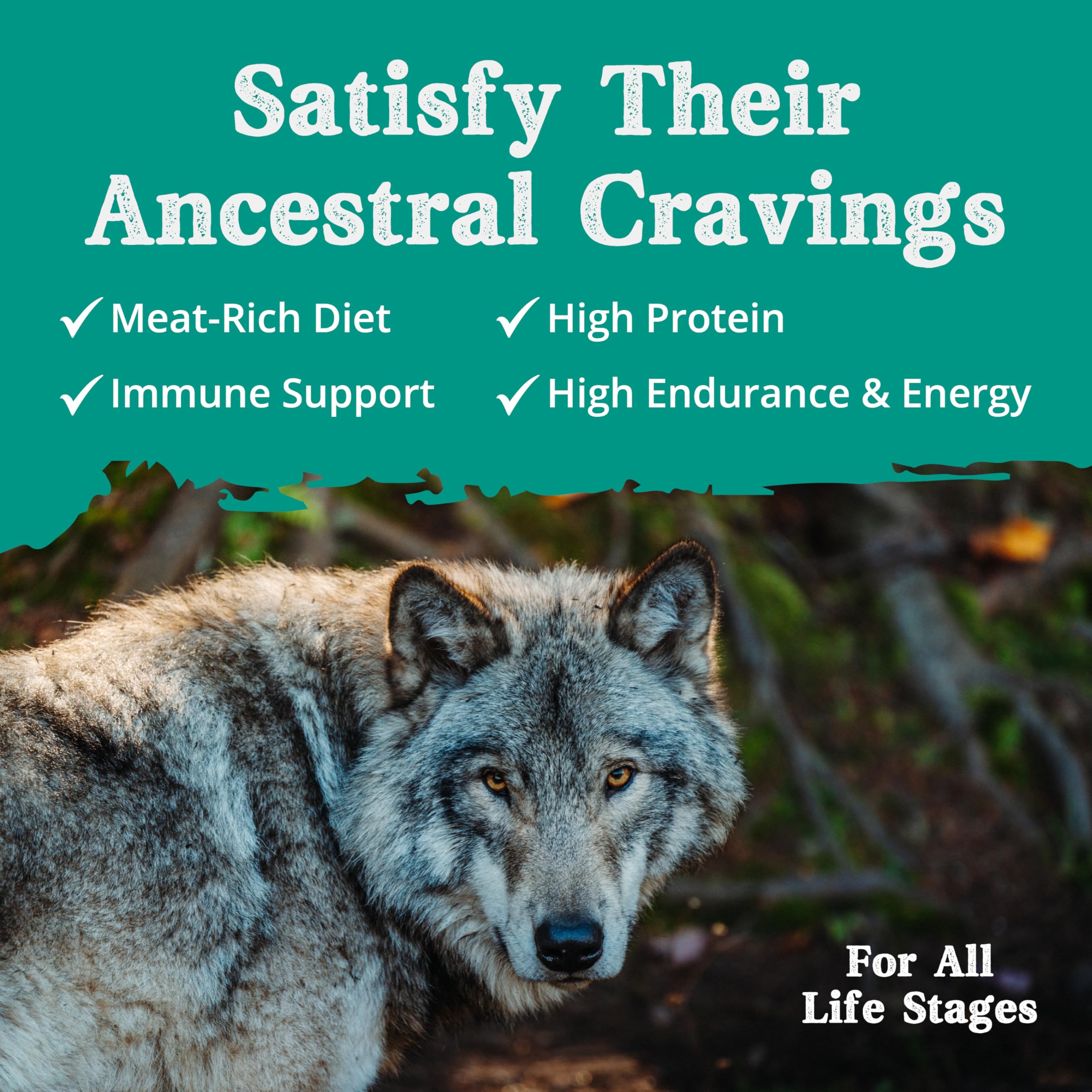 Ancestry Homeland immunité chien soutien potentiel lors des repas.