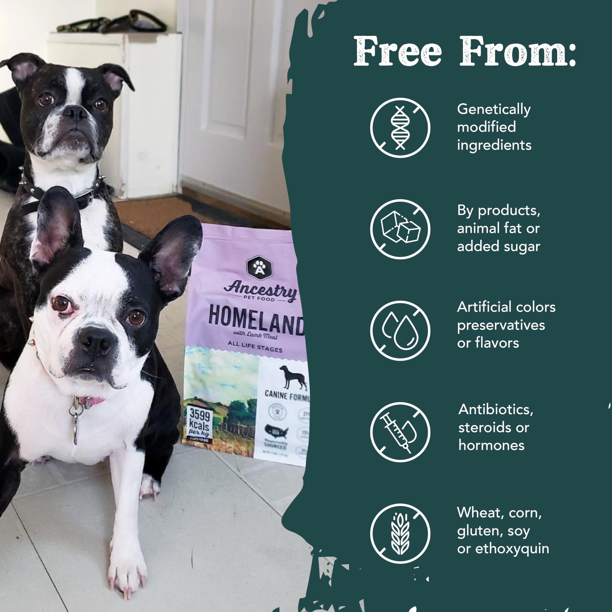 Ancestry Homeland soutien digestion canine pour une meilleure digestion.