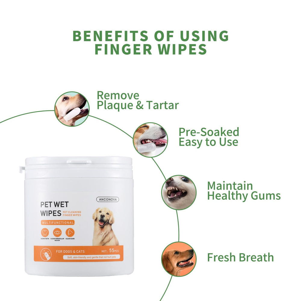 Anconova Lingettes dentaires pour chiens: un accès facilité et haleine plus fraîche.