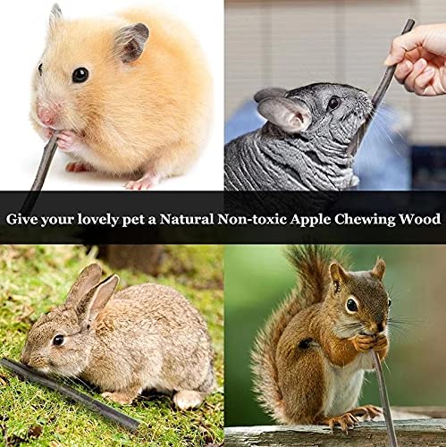 Friandise naturelle et savoureuse des bâtons ANDES pour petits animaux.