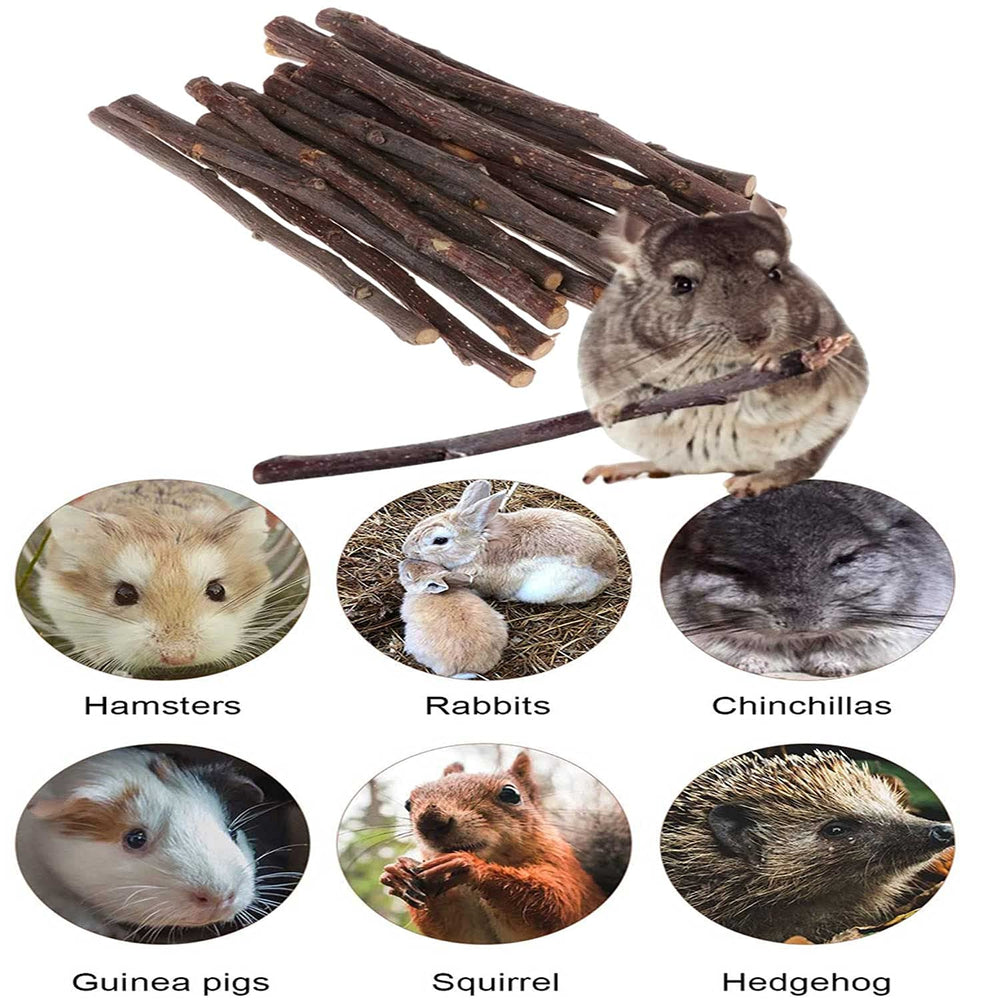Petit animal en train de mâcher des bâtons ANDES naturelements.