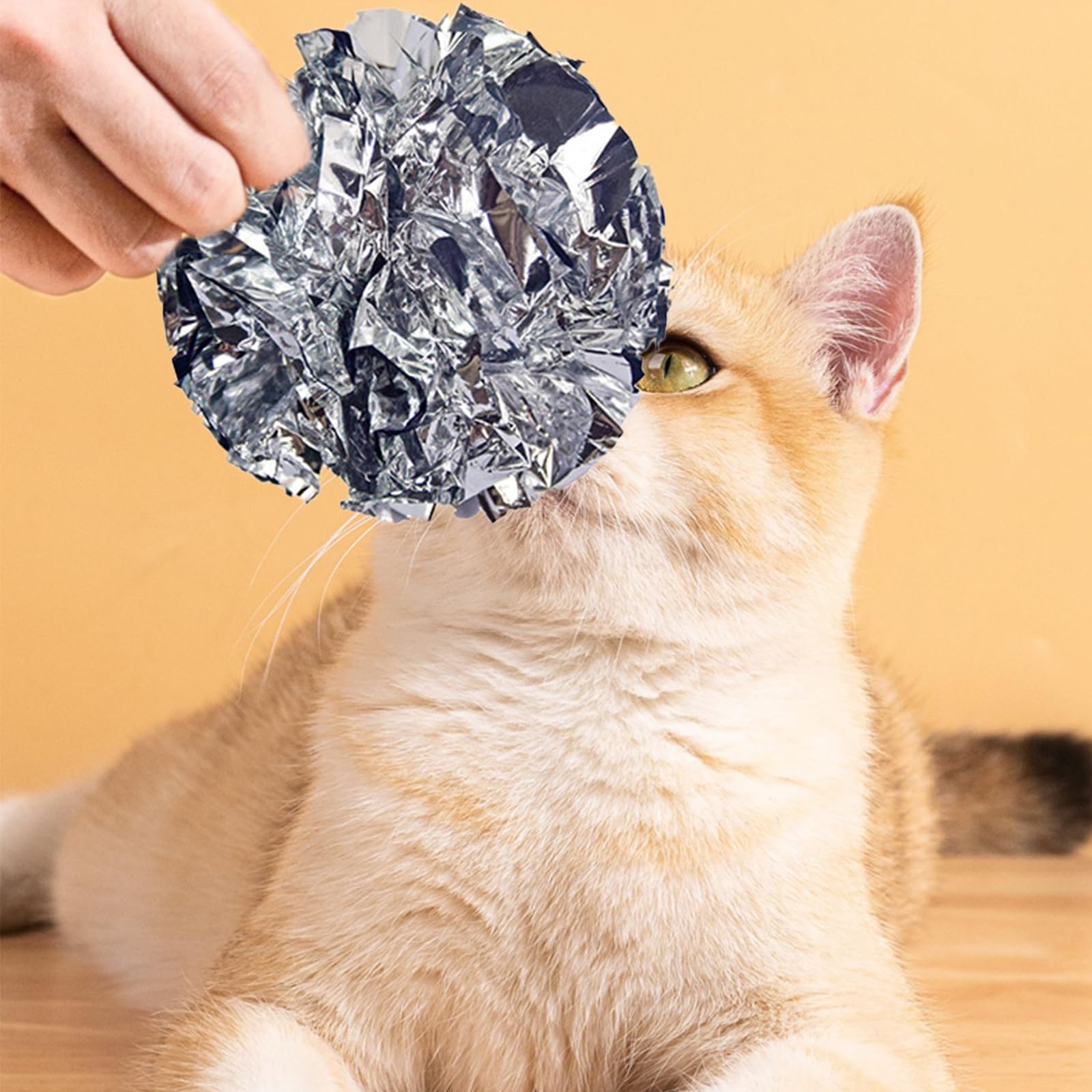 Andiker balle interactive, son crissant stimule l’oreille du chat